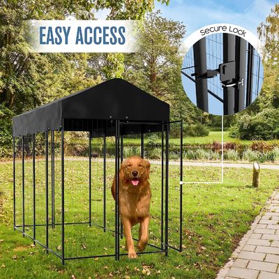 Outdoor Heavy Duty Dog Kennel